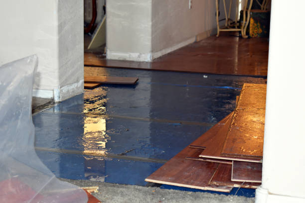 Professional Basement Water Removal technician working in Shoreham, NY